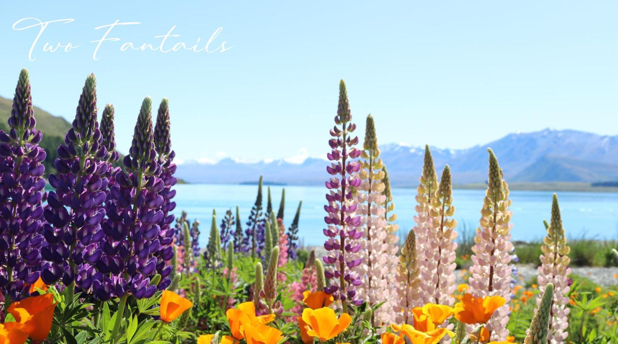 Two Fantails - Mountain Views Villa Lake Tekapo Exterior photo